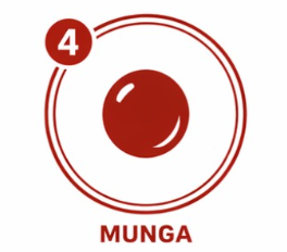 Munga
